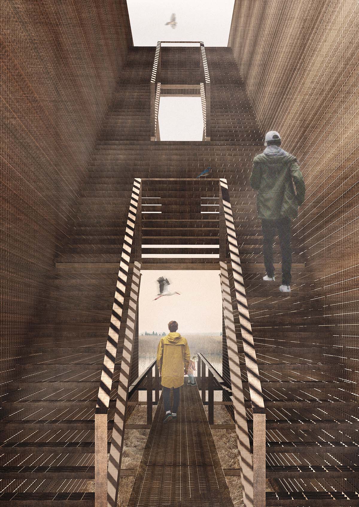 Pape Bird Observation Tower winners announced for Latvia's Pape Nature Park