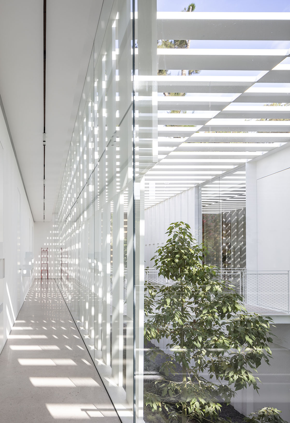 Large sunken yard defines the program of Split House designed by Pitsou Kedem Architects in Israel