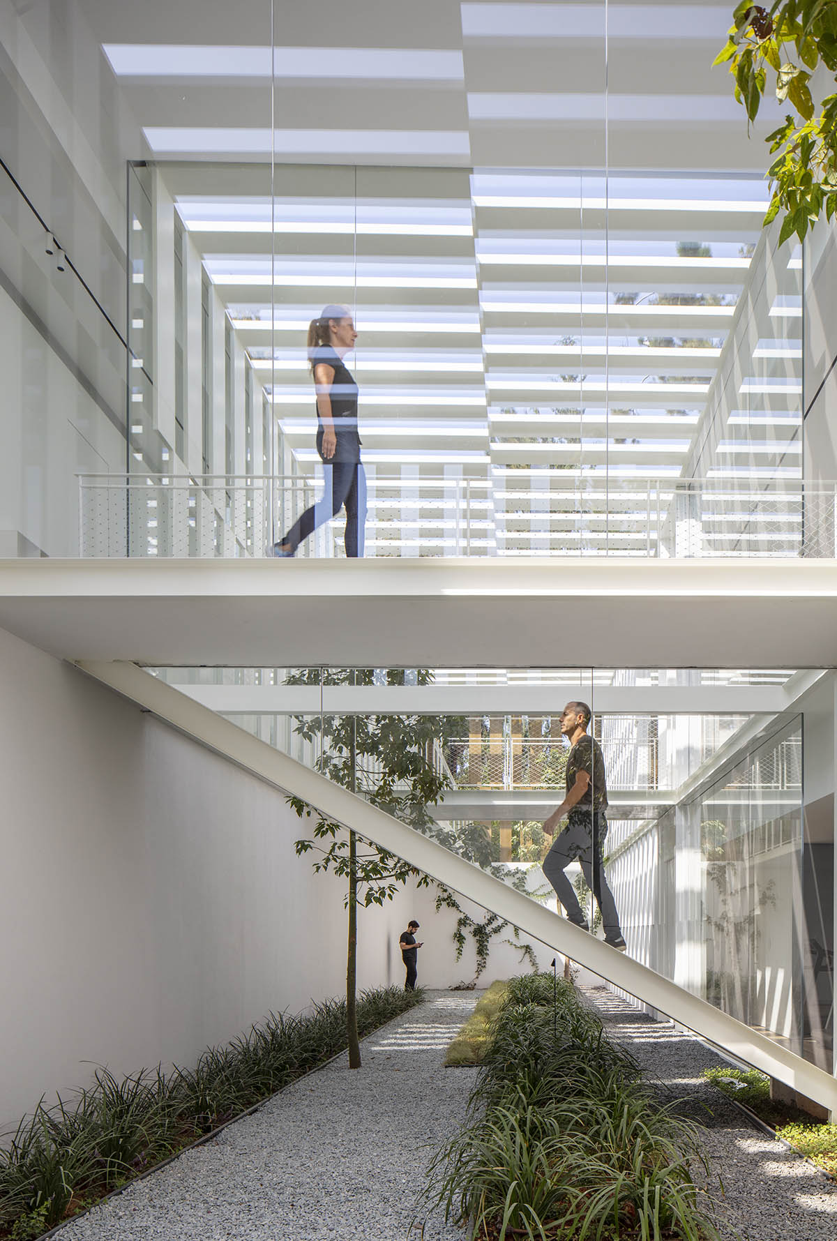 Large sunken yard defines the program of Split House designed by Pitsou Kedem Architects in Israel