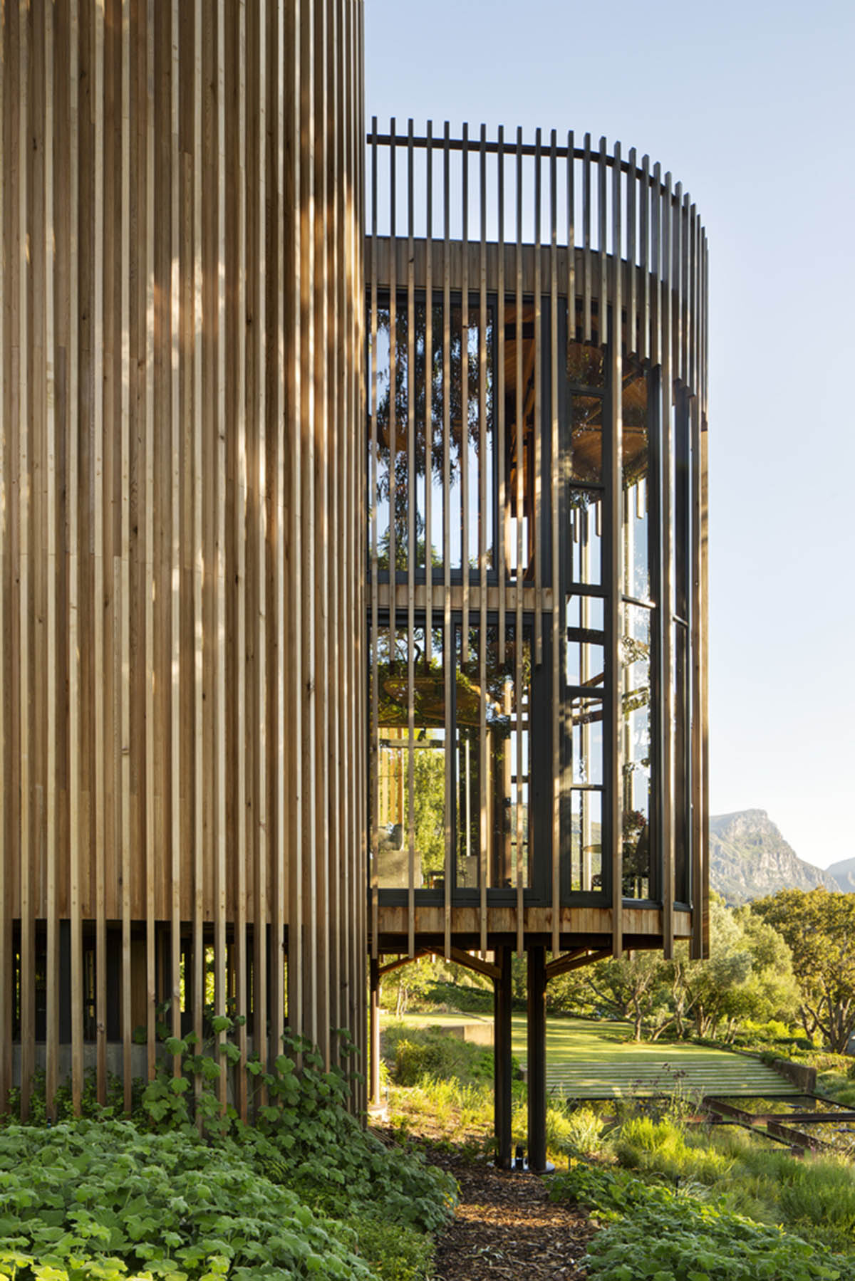 Circular tree house is raised over slender stilts to dominate the forest in every direction