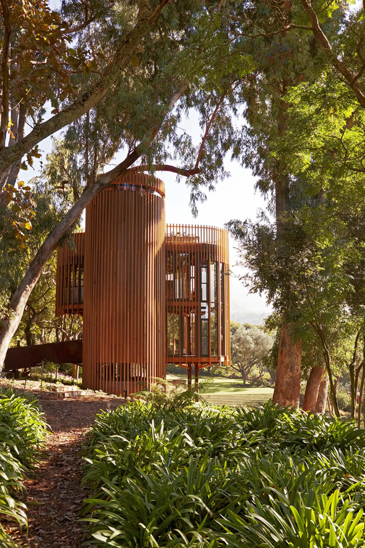 Circular tree house is raised over slender stilts to dominate the forest in every direction