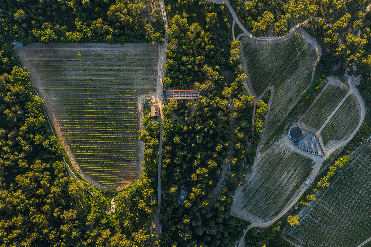 Richard Rogers' new gallery supported by orange steel beams cantilevers out 27 meters over hillside