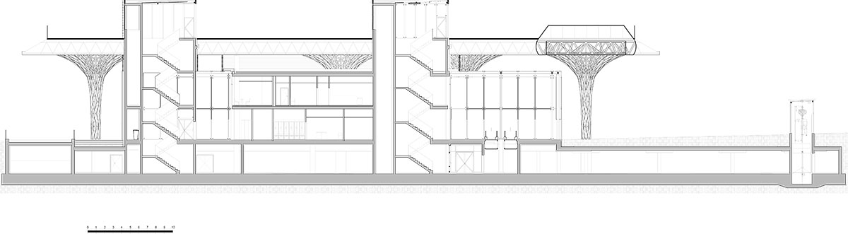Organic tree-like columns are combined with linear canopy for Metropolitan Station in Lublin 