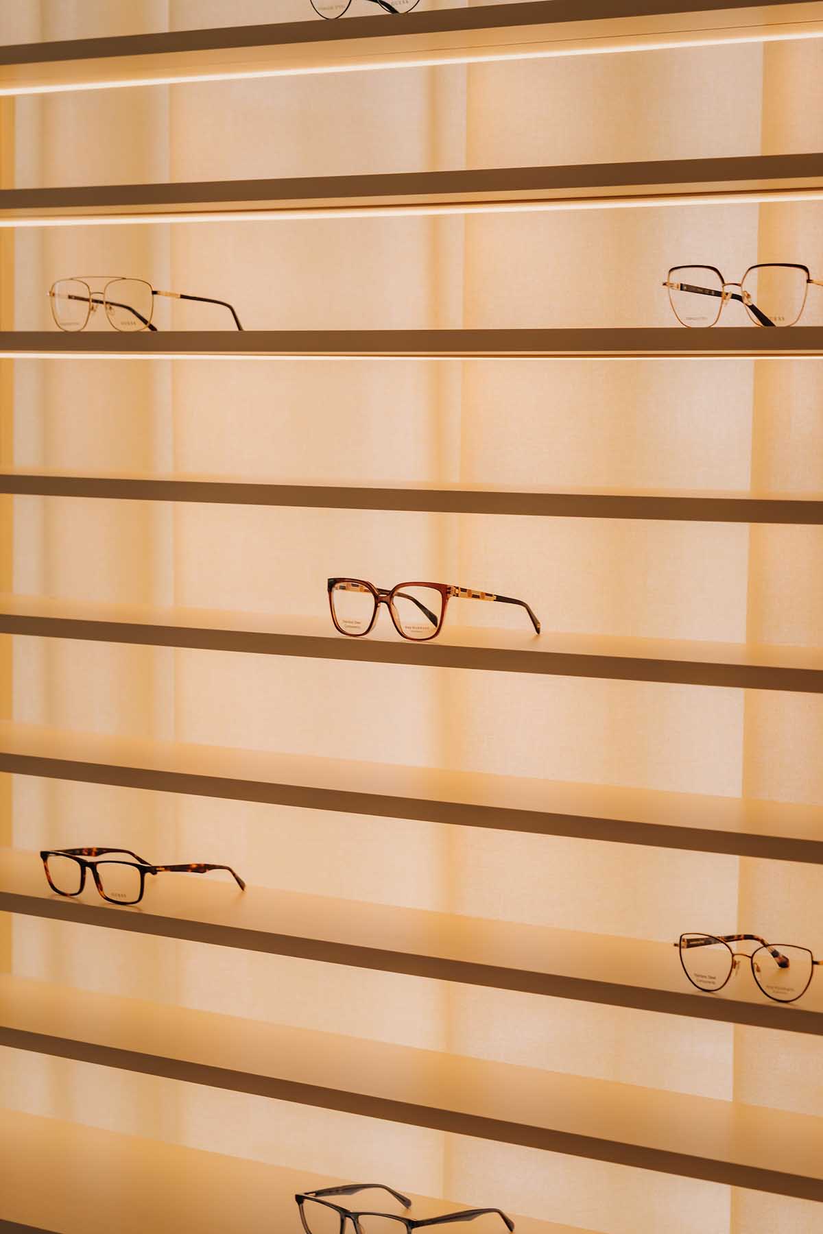 Seeing through design: The biophilic essence of Auga optical salon