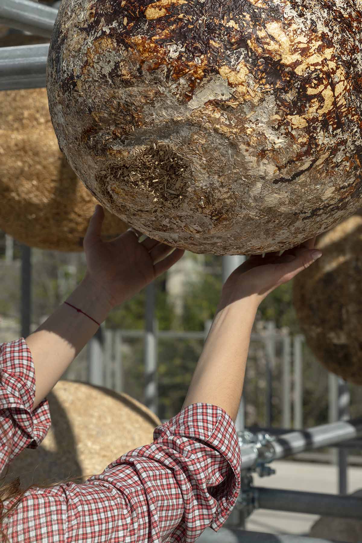 Henning Larsen unfolds the potential of mycelium with 80 spheres at Milan Design Week