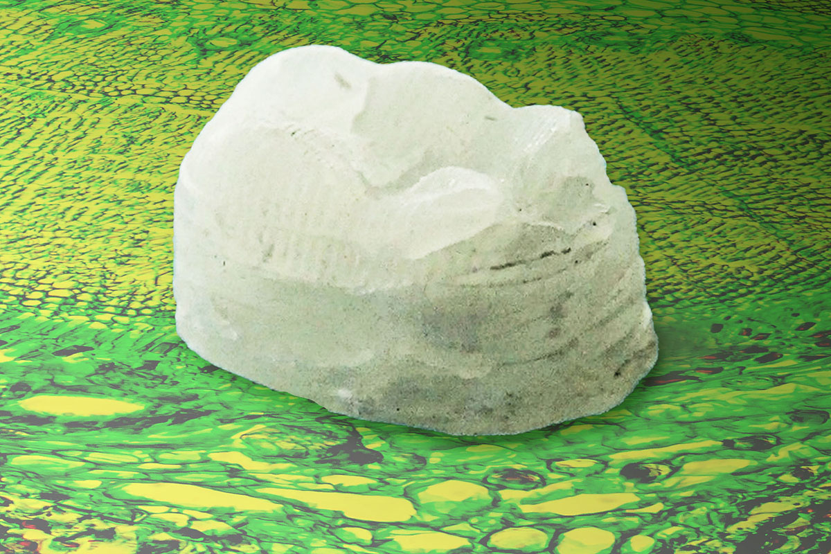 MIT researchers develop a new plant-derived composite that is tough as bone and hard as aluminum