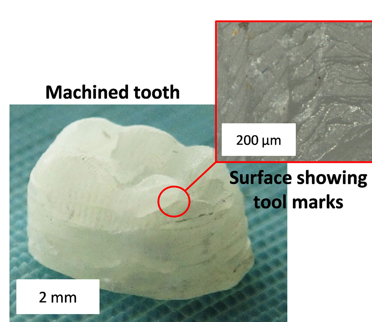 MIT researchers develop a new plant-derived composite that is tough as bone and hard as aluminum