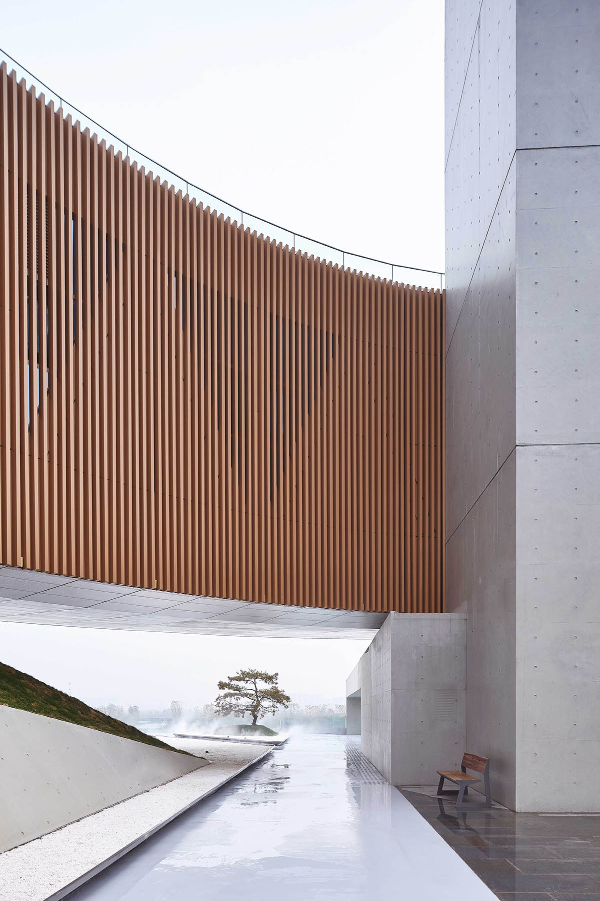 STUDIO A+ designs climbable ring-shaped art center on a green mound in Zhengzhou