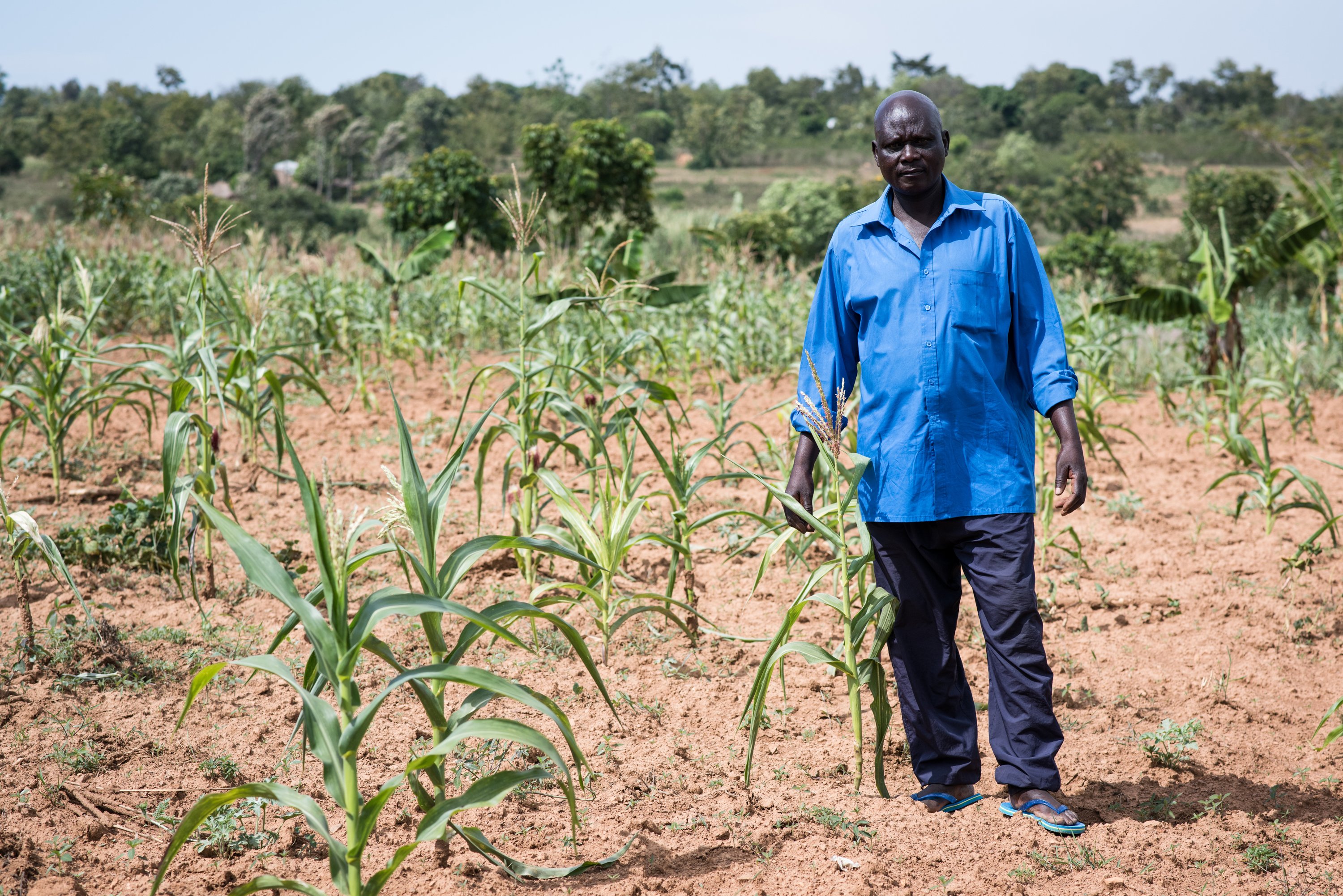 Mashambas Skyscraper Balances A Vision Of The Future Of Traditional Farming In Sub-Saharan Africa