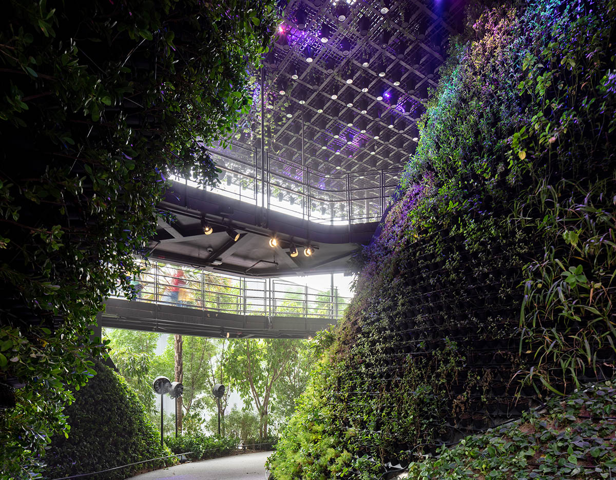 A city in nature: Singapore Pavilion presents Nature. Nurture. Future at Expo 2020 Dubai