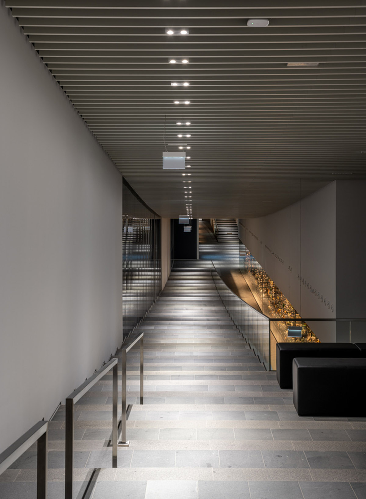 Museum of Ethnography by NAPUR Architect features curving volumes and walkable roof in Budapest