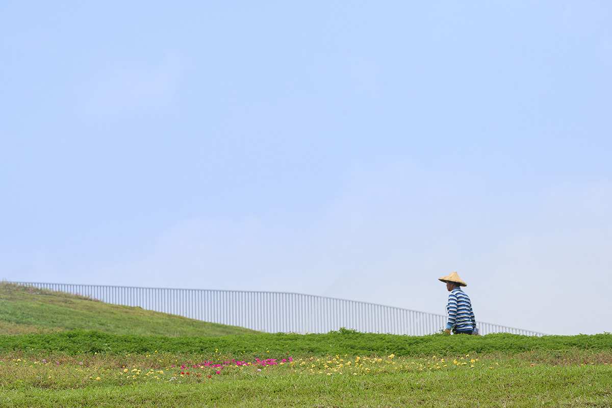 MVRDV completes wholesale Tainan market with landscaped and publicly accessible roof 
