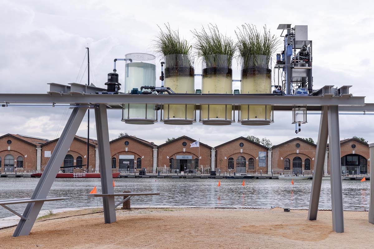 Bahrain and Diller Scofidio + Renfro win Golden Lions at the 2025 Venice Architecture Biennale