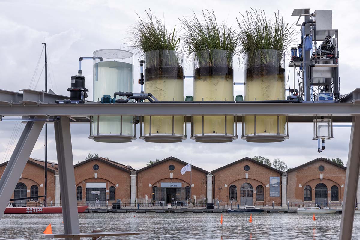 Bahrain and Diller Scofidio + Renfro win Golden Lions at the 2025 Venice Architecture Biennale