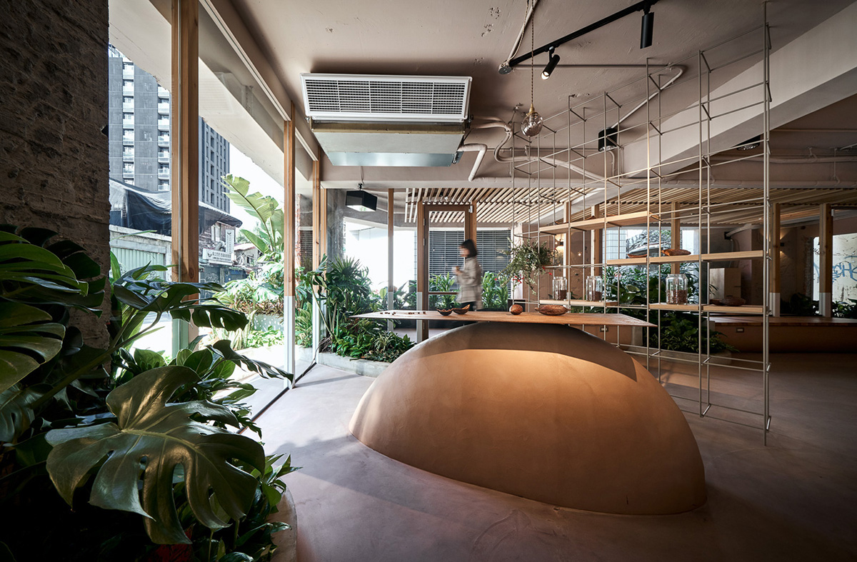 Soar Design Studio adds greenery and smooth surfaces to chocolate store offering garden-like space