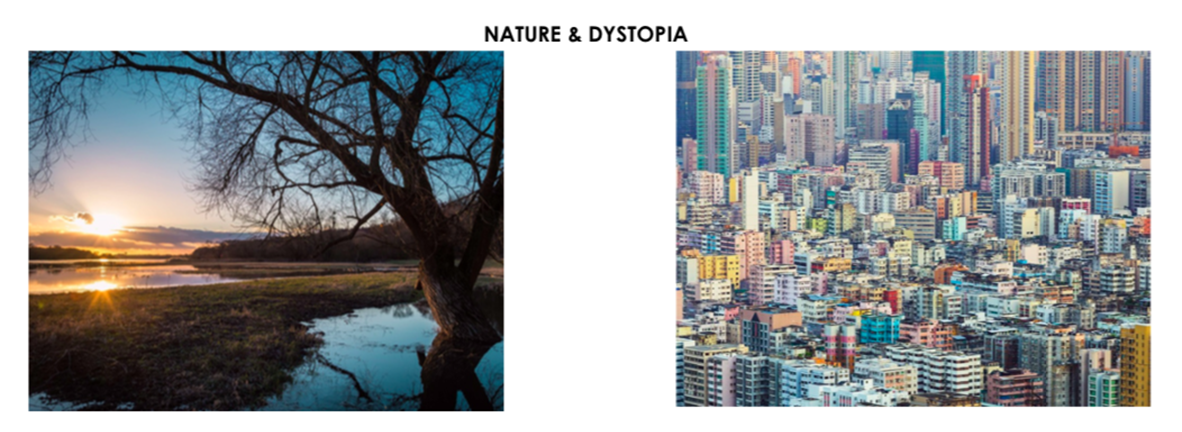 Richard England explores 