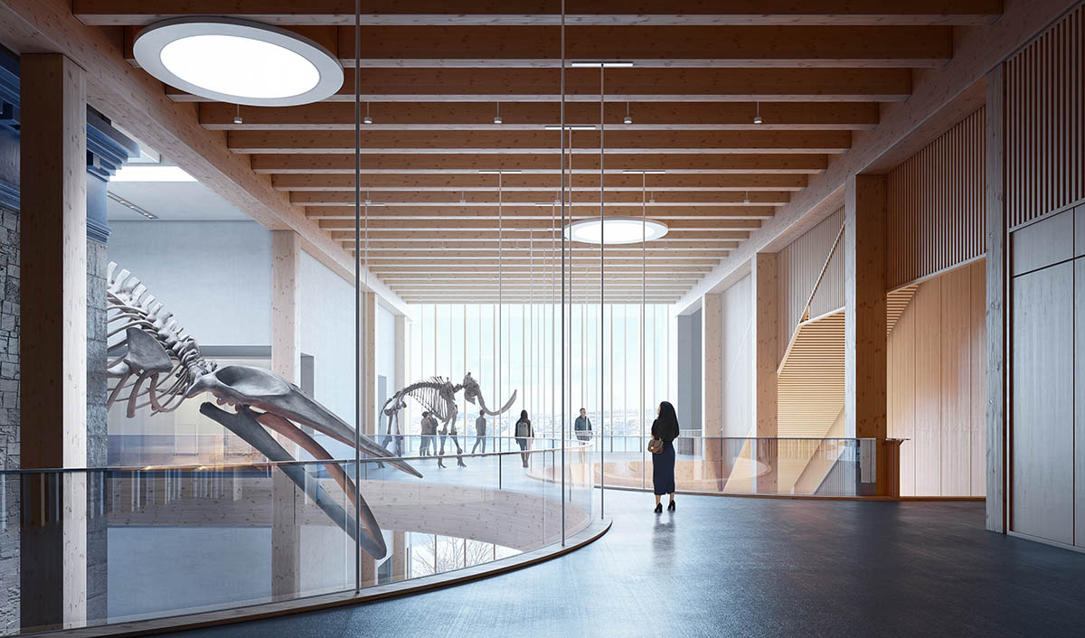 Diamond Schmitt unveils design for the New Brunswick Museum in Canada