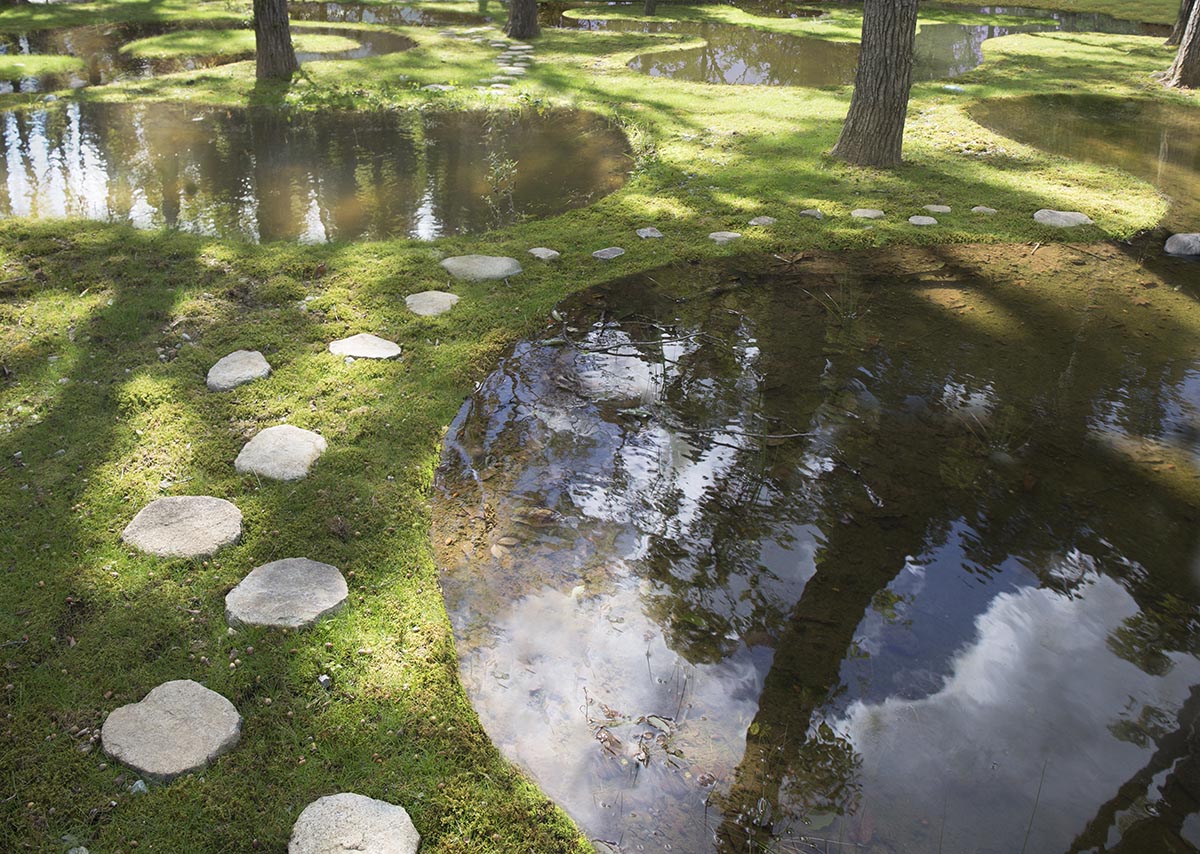 Junya Ishigami's Art Biotop Water Garden in Japan awarded The 2019 Obel Award