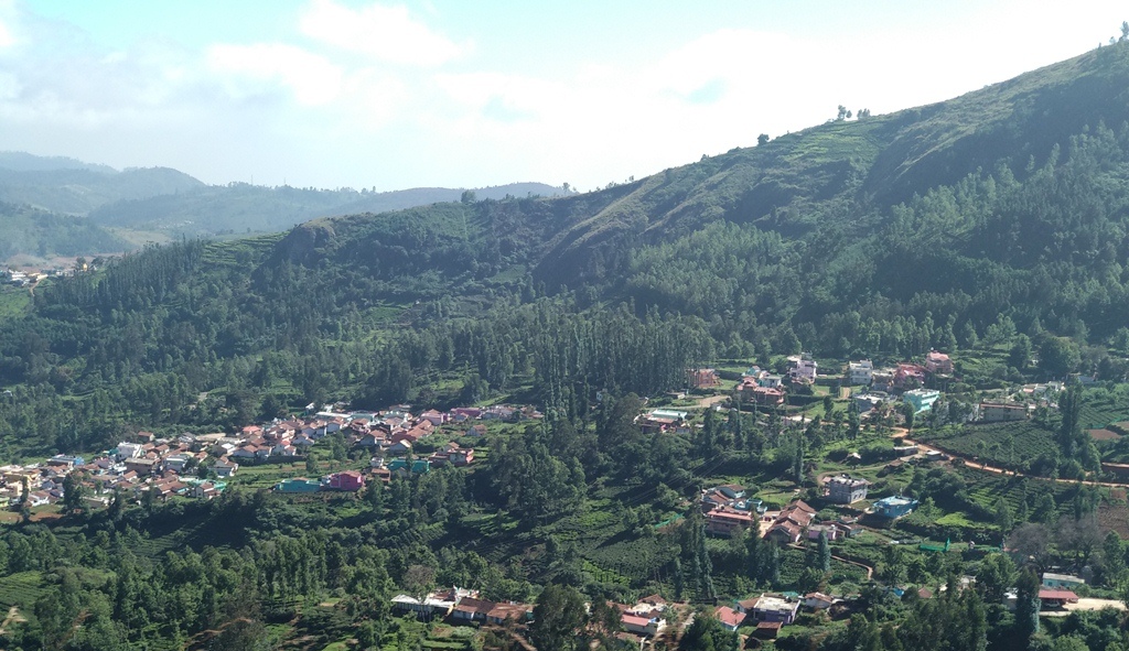 Creative Writing in Architecture