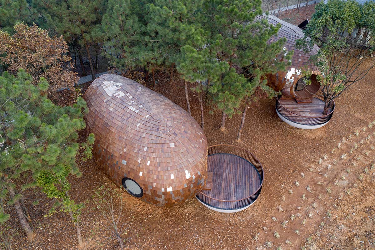 ZJJZ built The Seeds made of ellipsoidal surfaces and clad in pine shingles in Jiangxi, China