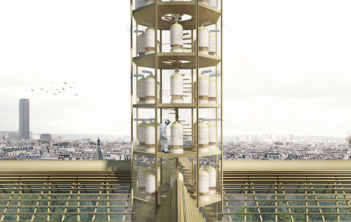 Studio NAB proposes educational and socially active greenhouse roof for Notre-Dame cathedral