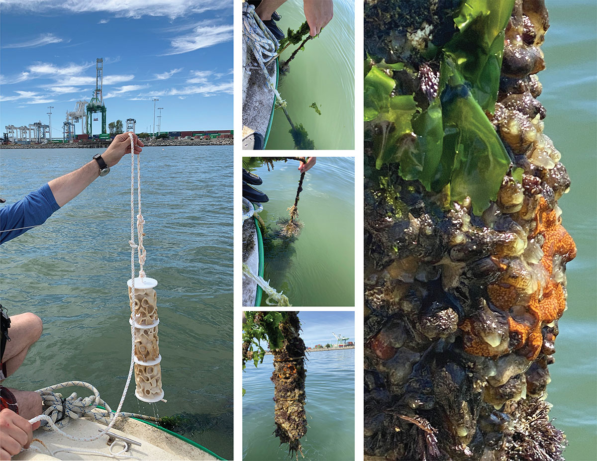 Winners announced for Design Educates Awards 2021