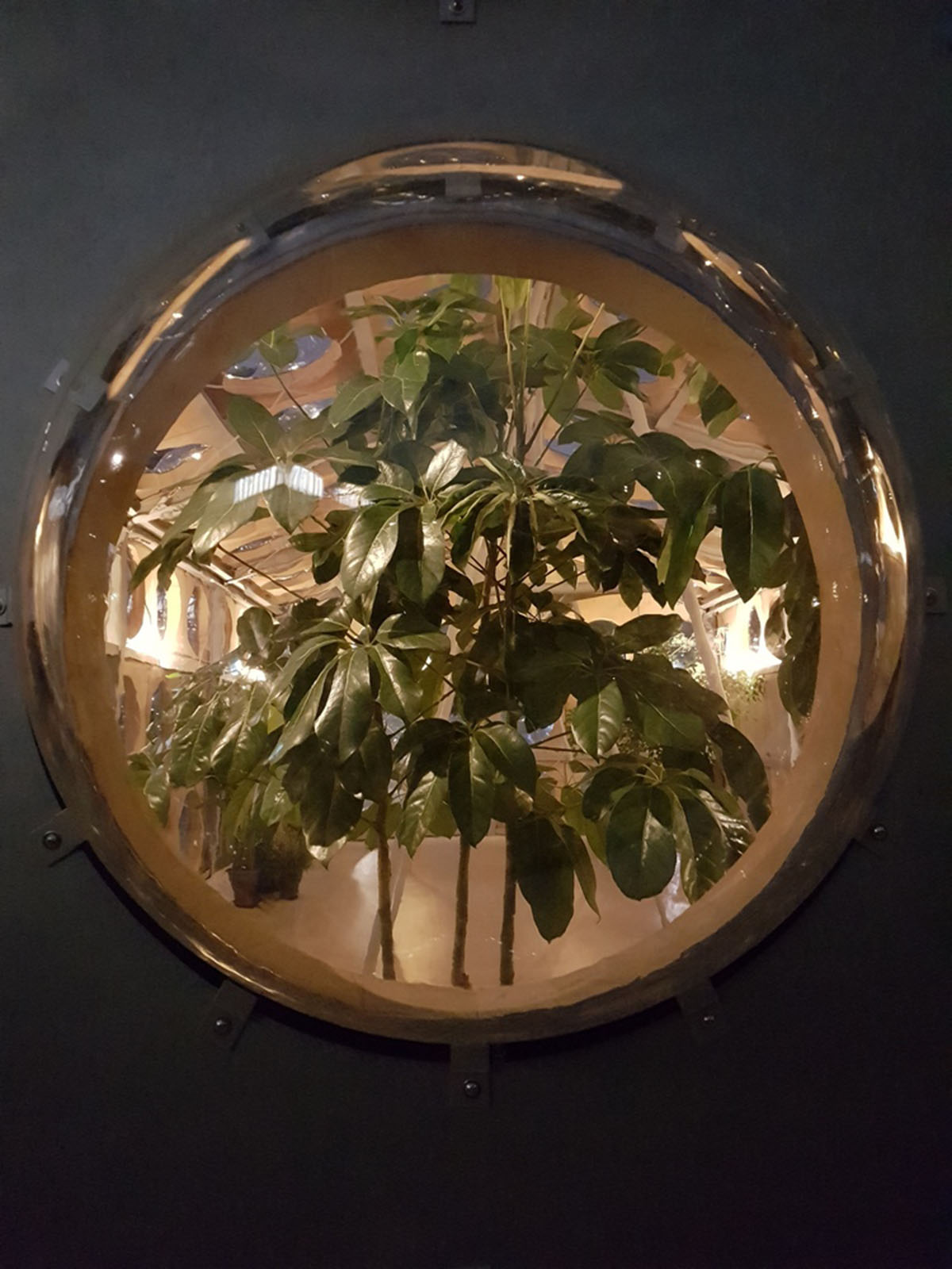 OBRA Architects adds bubbled protruding openings to experimental pavilion in Seoul