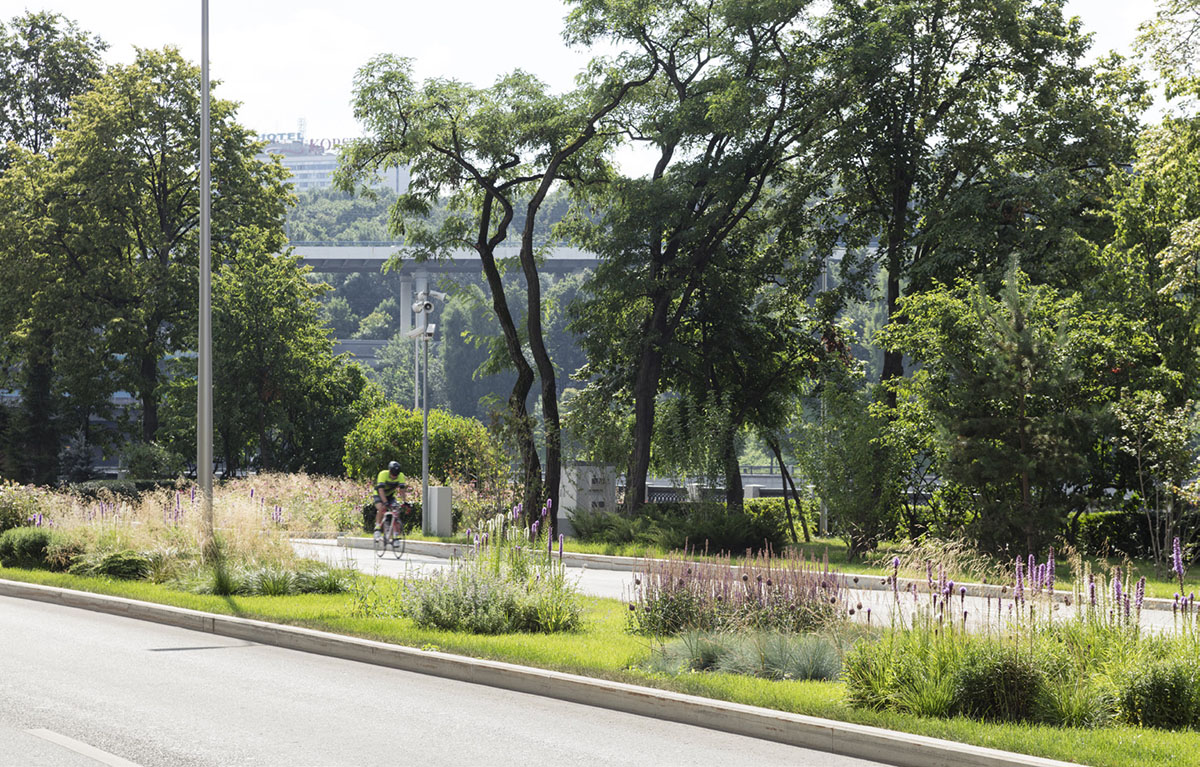 5 teams selected for the first stage of the Integrated Development of Saratov's City Centre