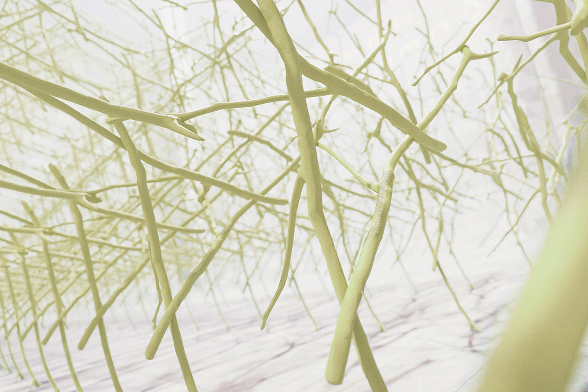 Designart Tokyo unveils details, projects, exhibitors from its upcoming event in October 