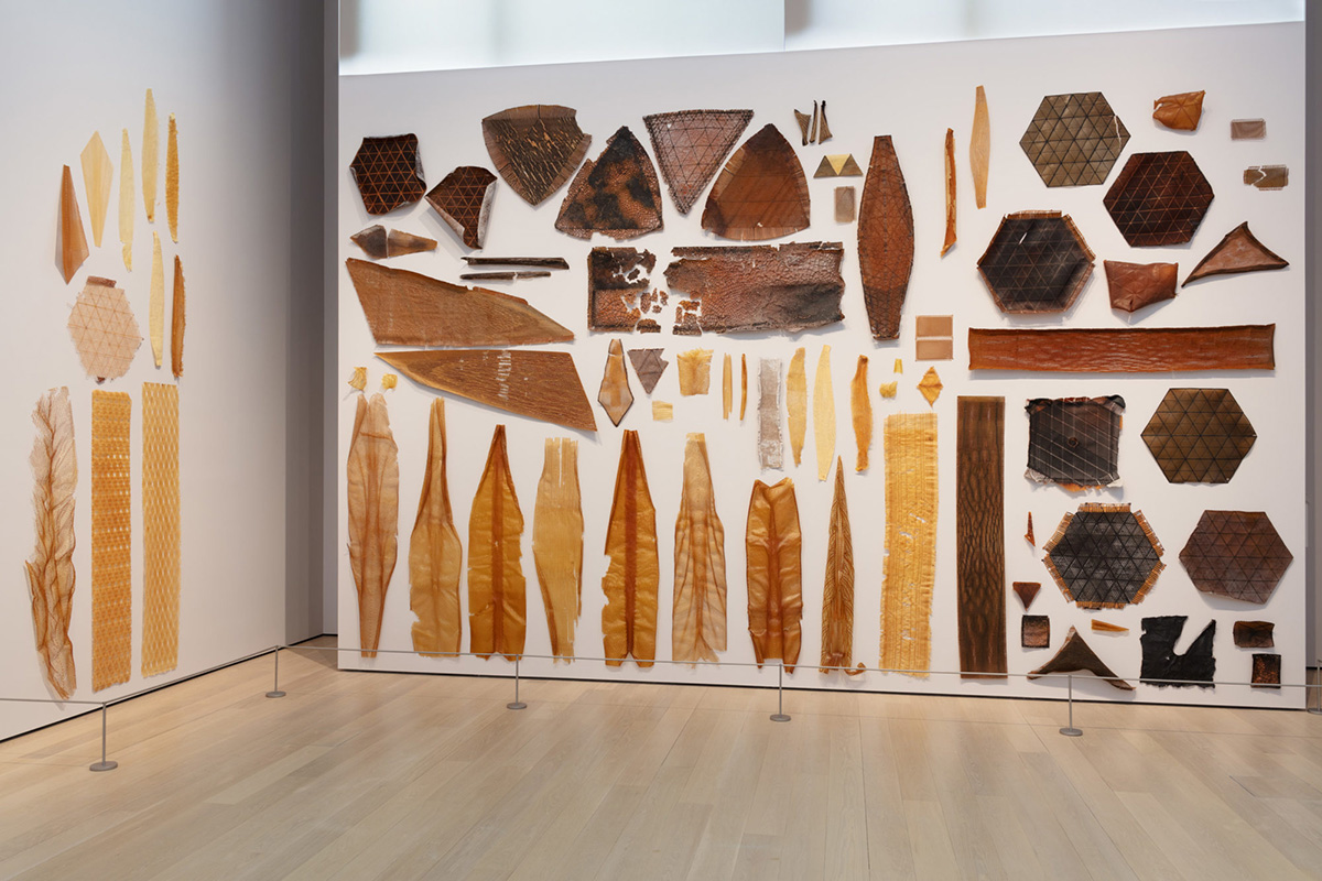 Neri Oxman opens up her material library and processes with Material Ecology exhibition at MoMA
