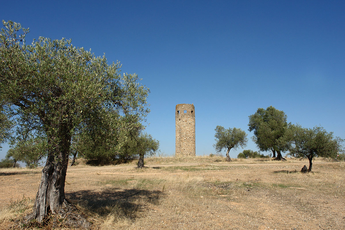 ARKxSITE Announced Site Cultural Center International Architecture Ideas Competition