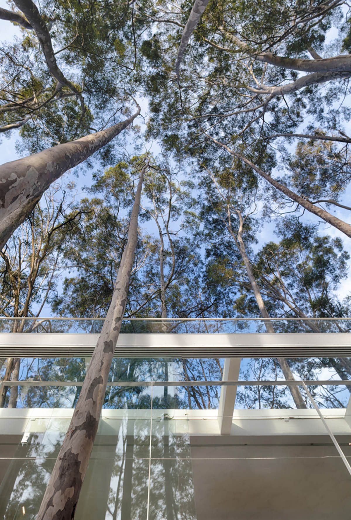 Piacesi Arquitetos Associados suspends refuge cabin with light and curved structures within a forest