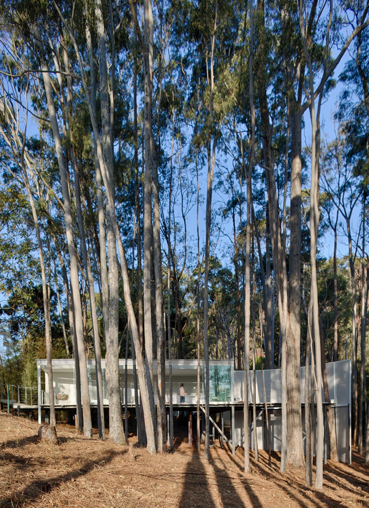 Piacesi Arquitetos Associados suspends refuge cabin with light and curved structures within a forest