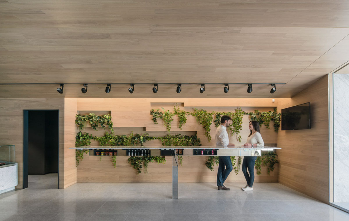 Pablo Muñoz Payá Arquitectos completes small food shop with green elements in Spain