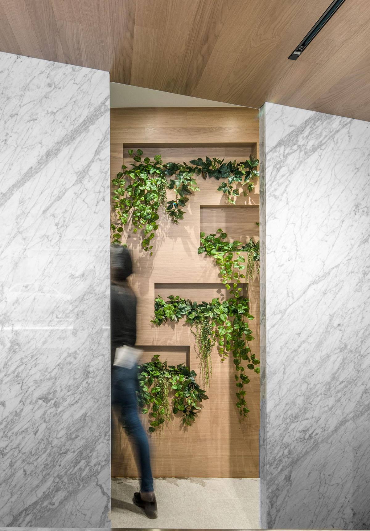 Pablo Muñoz Payá Arquitectos completes small food shop with green elements in Spain