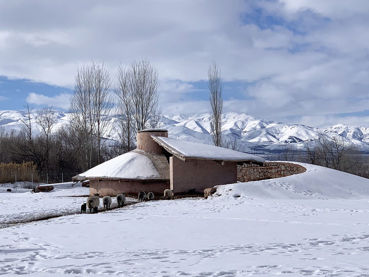 WAF 2022 announces finalists for the Special Prizes, celebrating exceptional architectural merit