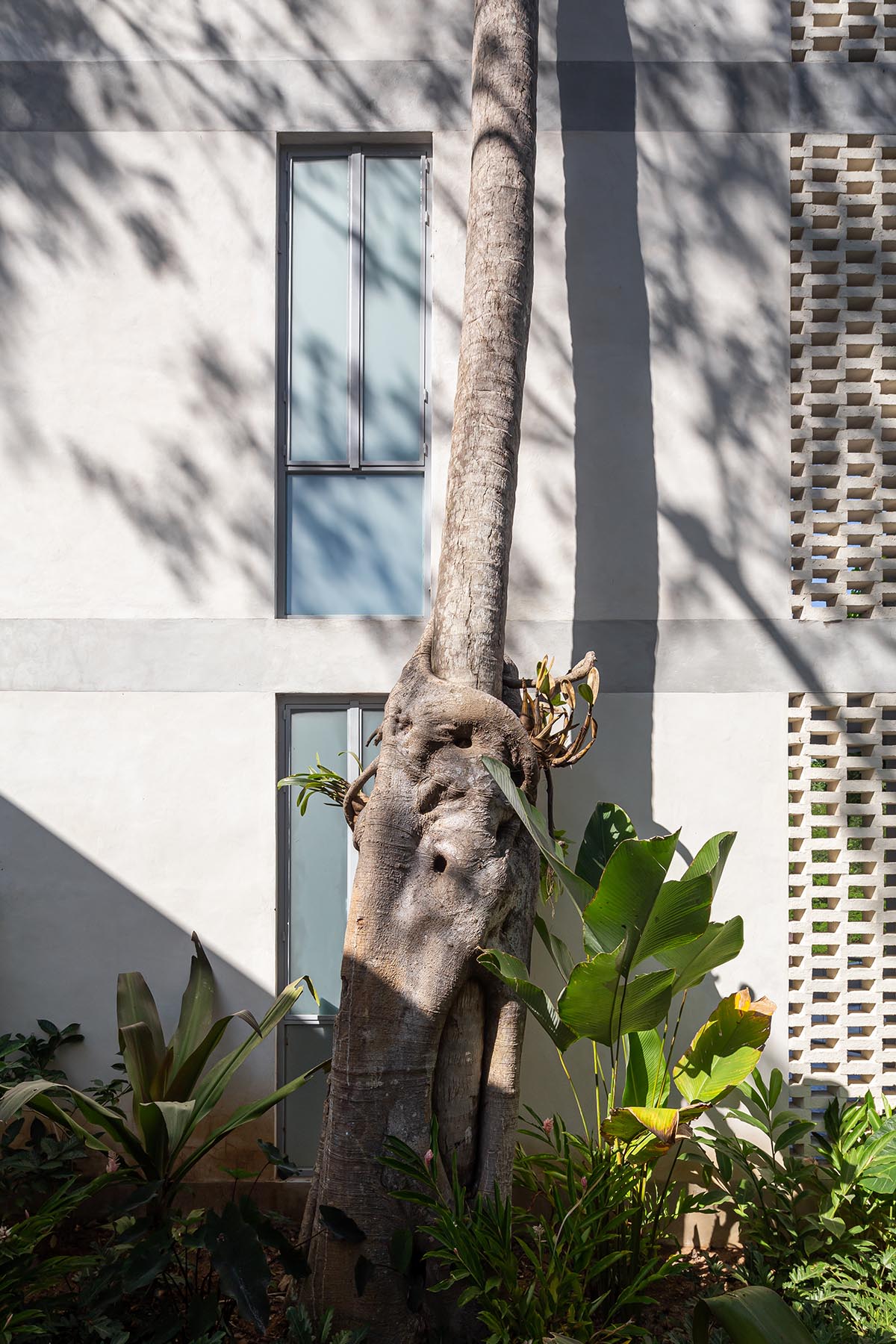 Palma designs a pair of hybrid apartments with creamy tones and light blue additions in Mexico 