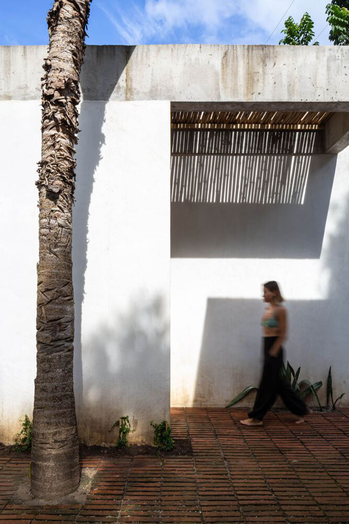 Palma designs house that makes swimming pool and courtyard the heart of the house in Mexico