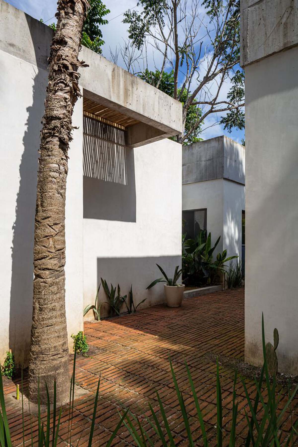 Palma designs house that makes swimming pool and courtyard the heart of the house in Mexico