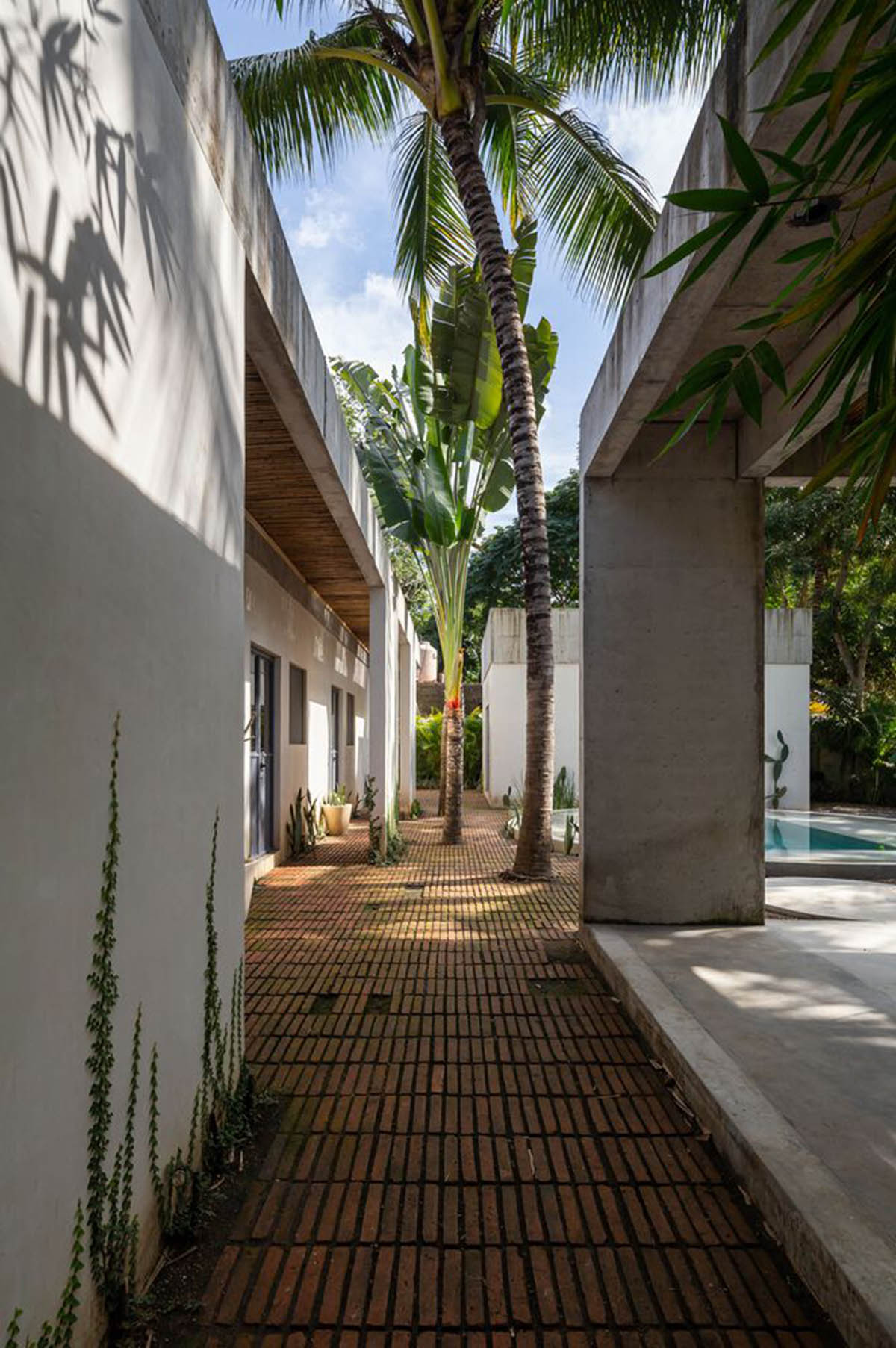 Palma designs house that makes swimming pool and courtyard the heart of the house in Mexico