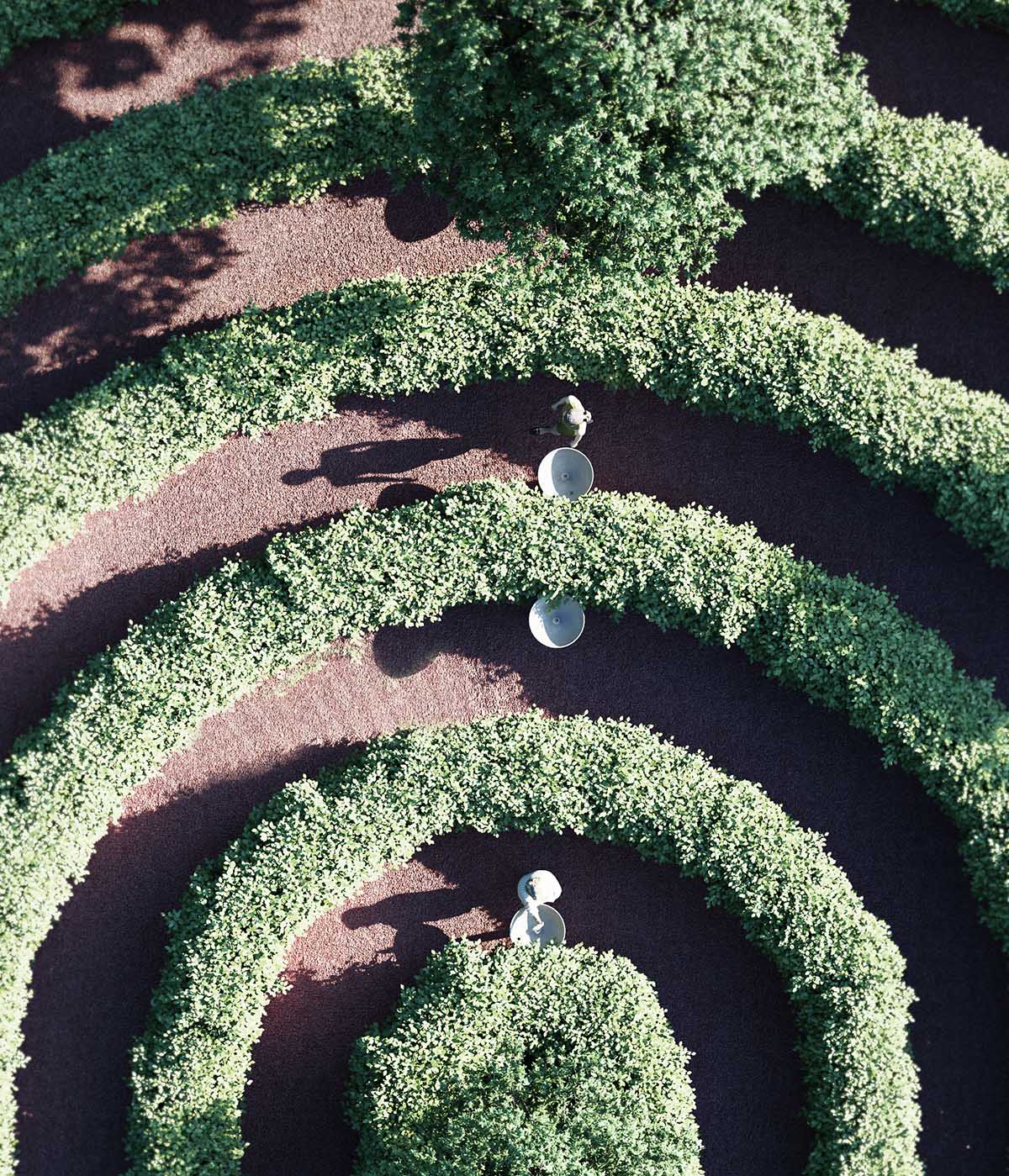 Studio Precht unveils design for spiral park proposing physical distancing for outdoor gardens