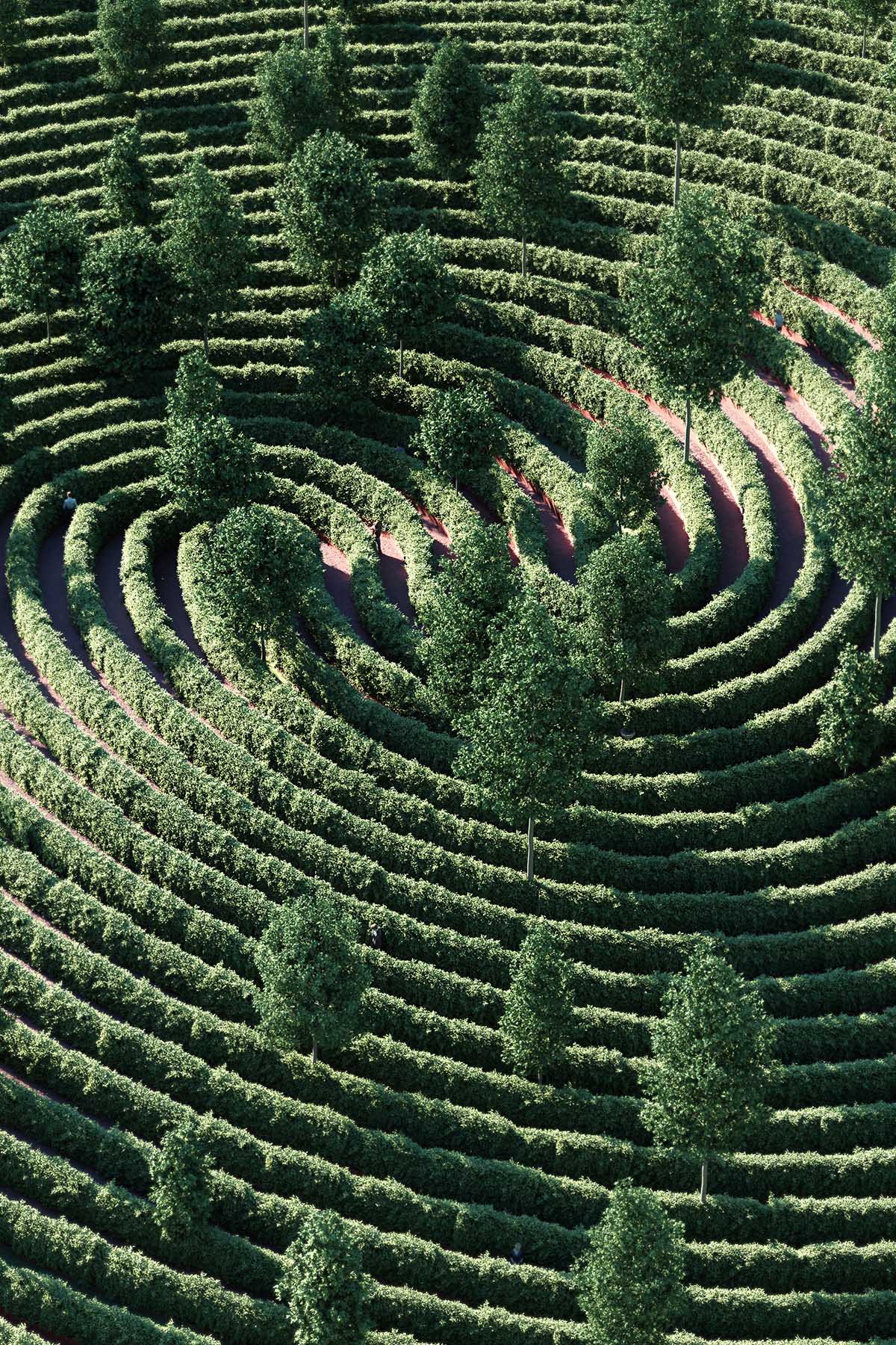 Studio Precht unveils design for spiral park proposing physical distancing for outdoor gardens