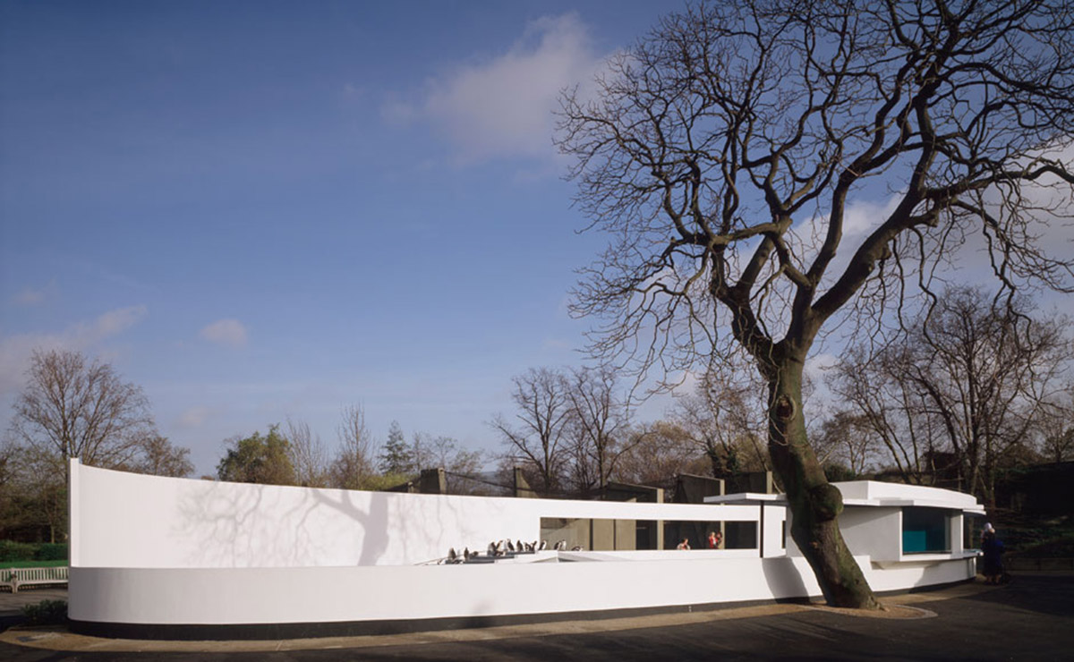 Berthold Lubetkin’s poetic Penguin Pool may be demolished at London Zoo