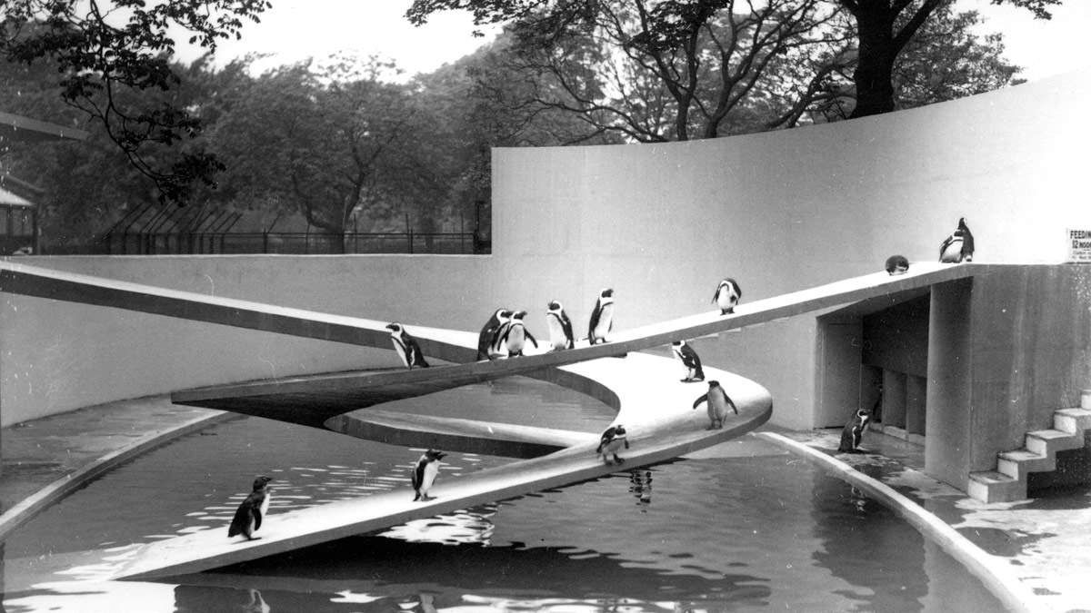 Berthold Lubetkin’s poetic Penguin Pool may be demolished at London Zoo
