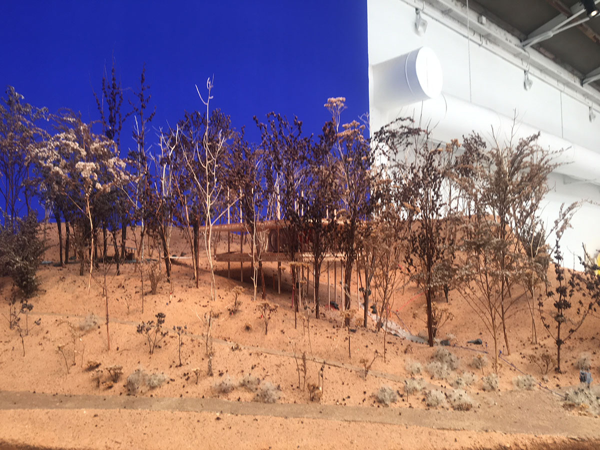 Explore Peter Zumthor's 