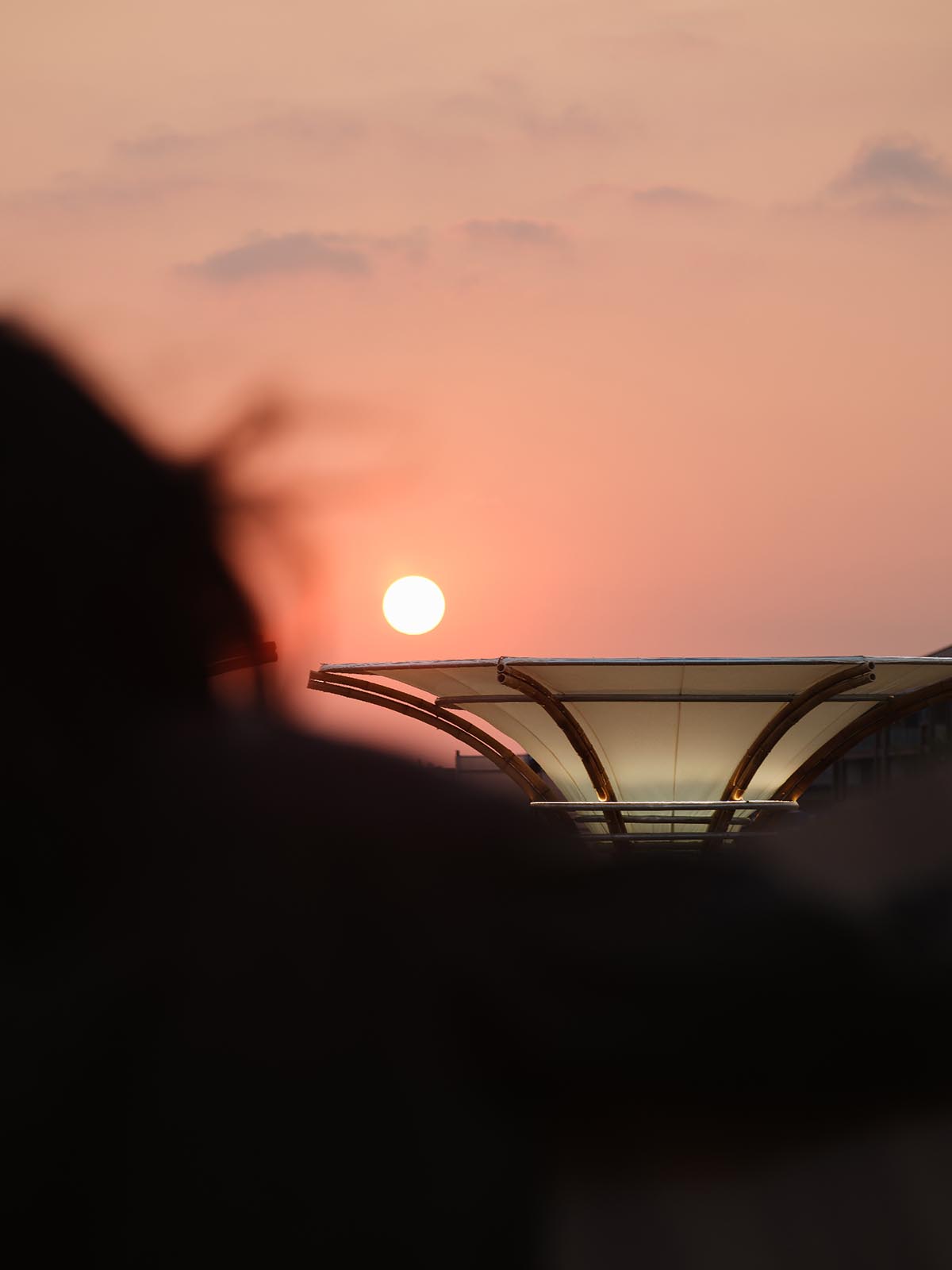 Also Architects creates art museum made of umbrella-like bamboo structures and undulating fabric