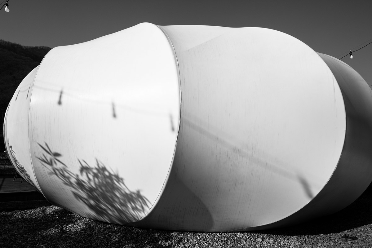 ArchiWorkshop combines oval guest rooms with museum in one landscape in South Korea