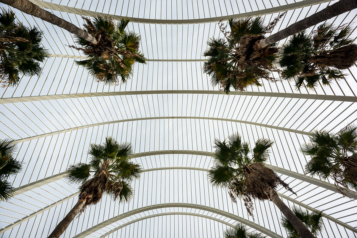 Santiago Calatrava's City of Arts and Sciences recaptured in new photographs by Gauvin Lapetoule