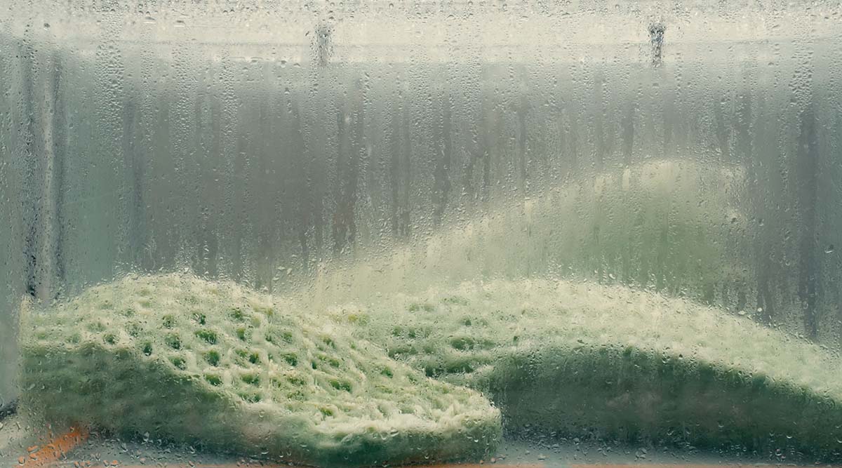 Canada Pavilion creates the largest living material structures at the Venice Architecture Biennale