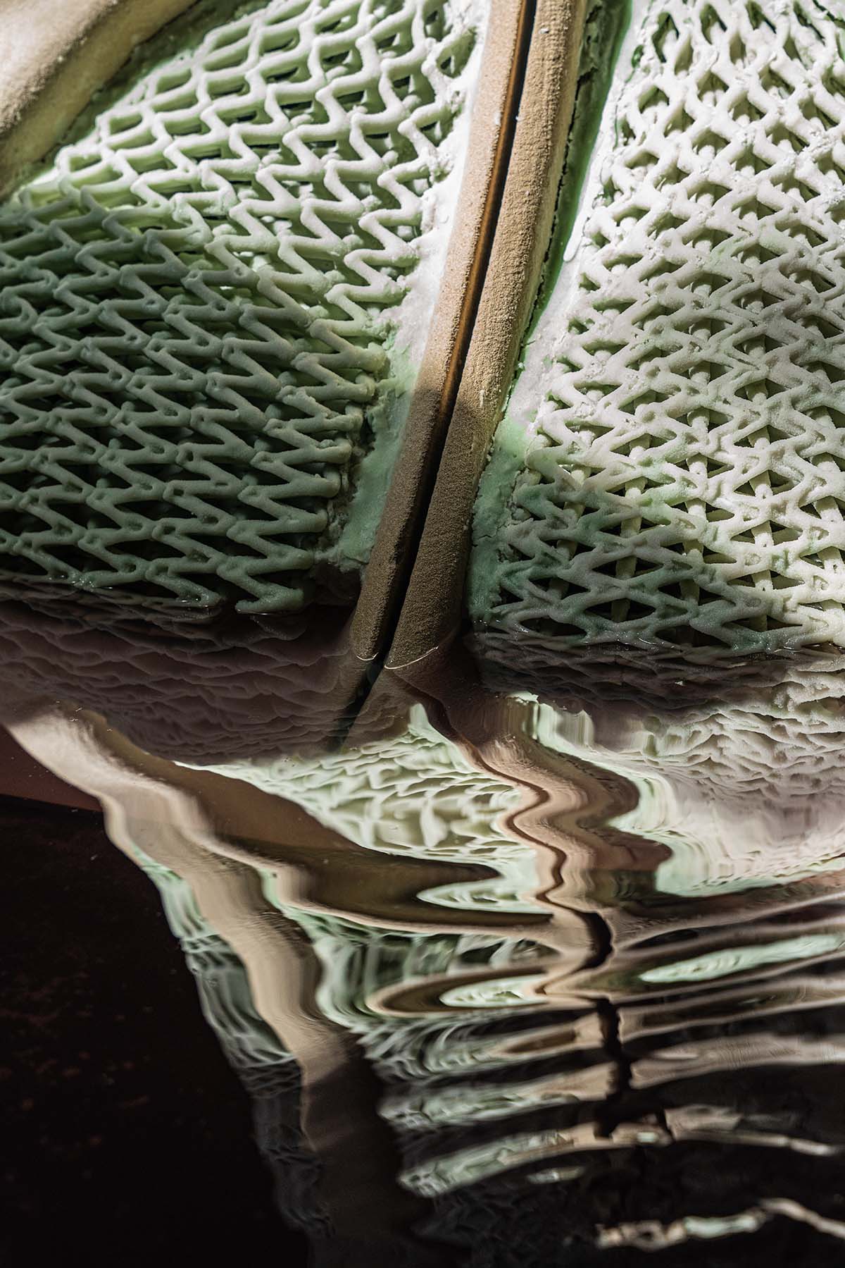 Canada Pavilion creates the largest living material structures at the Venice Architecture Biennale